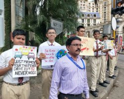 Std VIII students participated